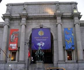 musees new york city